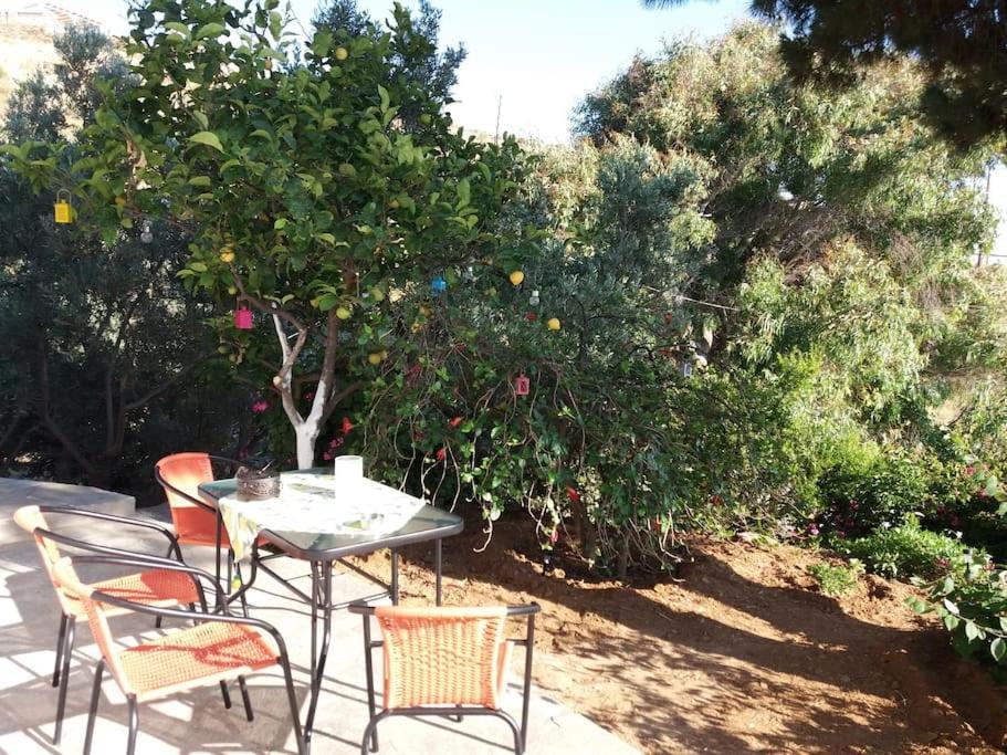 Grandpa Simos' Traditional Guest House Agios Romanos Exterior foto
