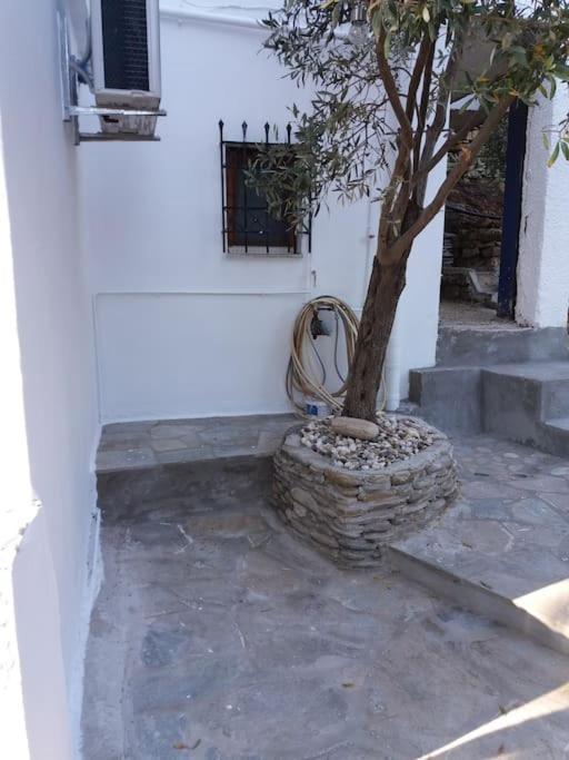 Grandpa Simos' Traditional Guest House Agios Romanos Exterior foto