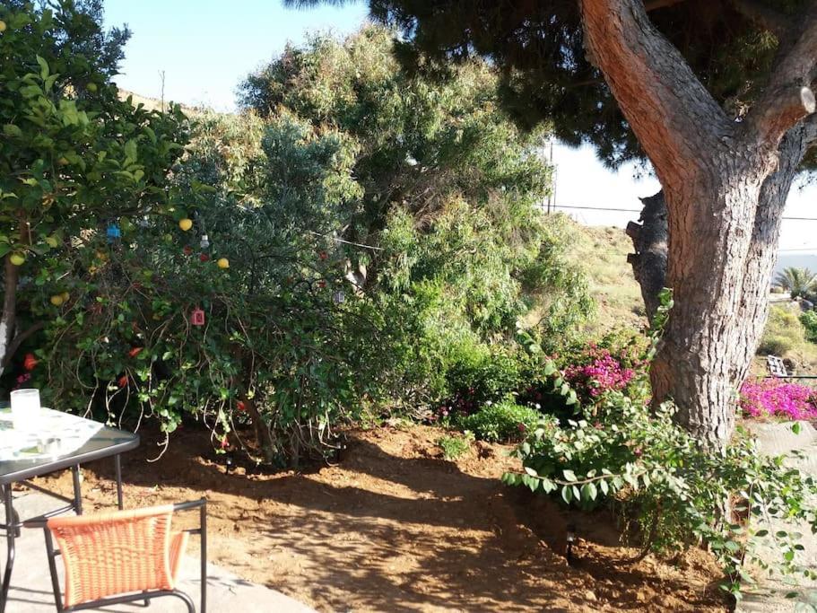 Grandpa Simos' Traditional Guest House Agios Romanos Exterior foto