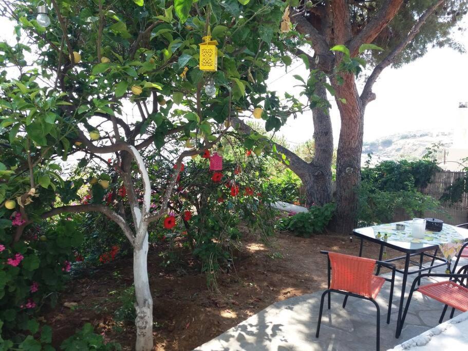 Grandpa Simos' Traditional Guest House Agios Romanos Exterior foto