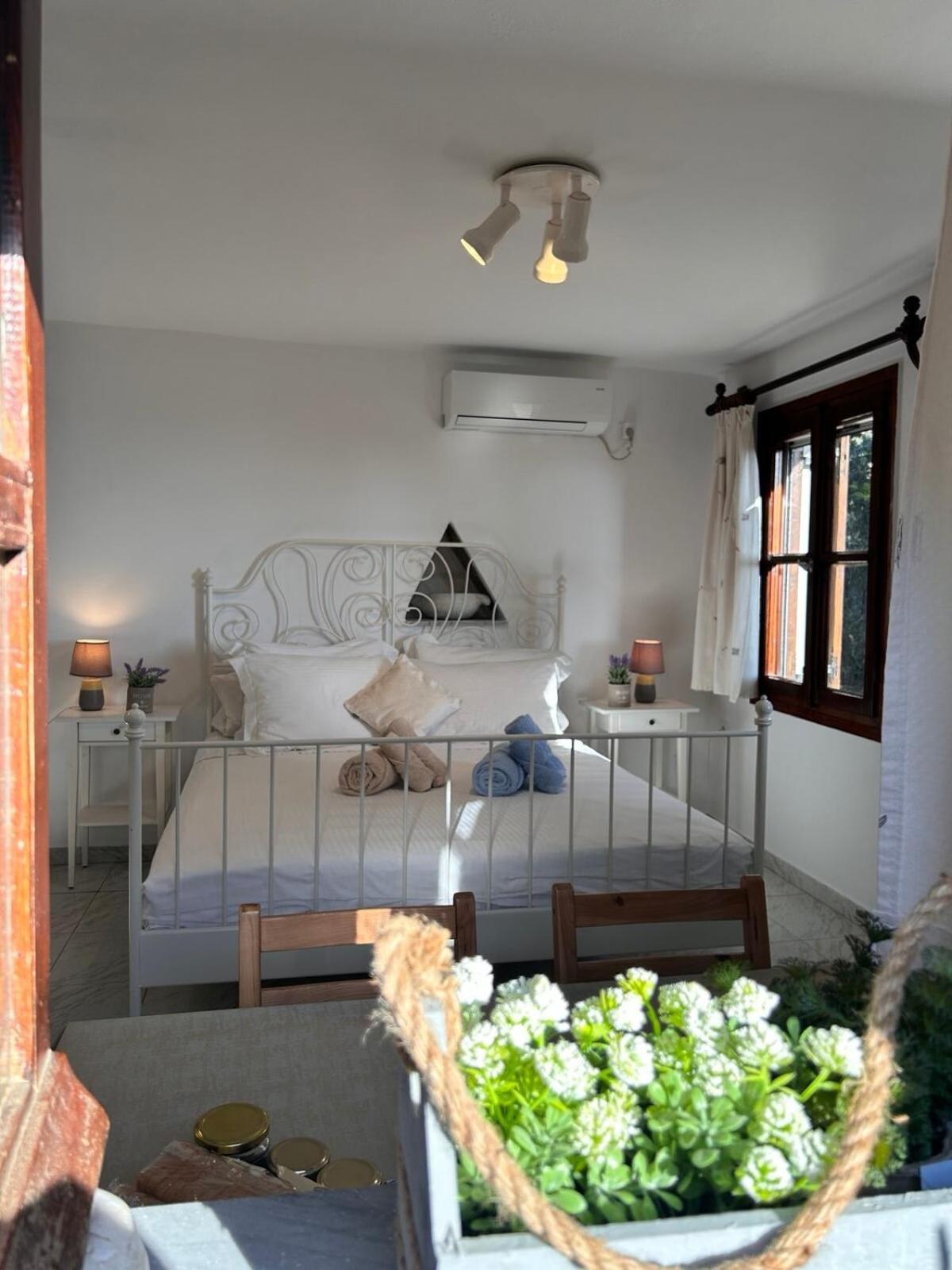 Grandpa Simos' Traditional Guest House Agios Romanos Exterior foto