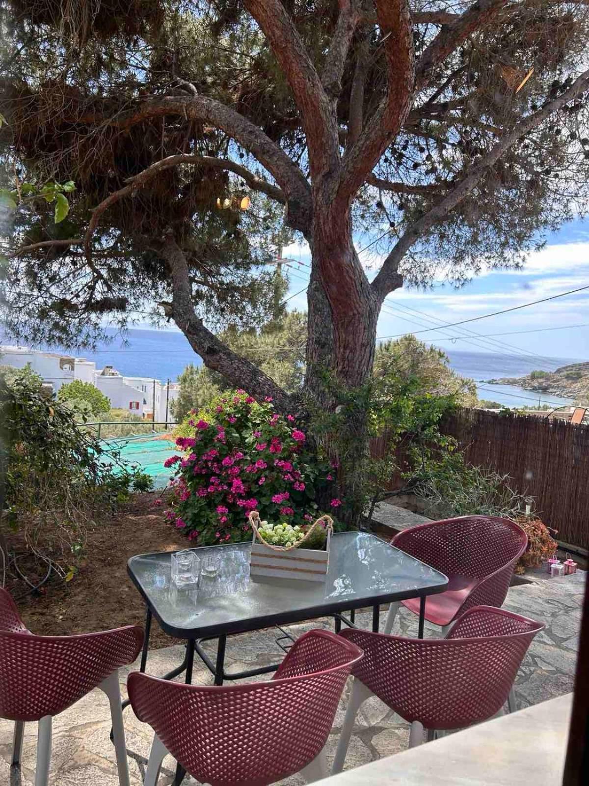 Grandpa Simos' Traditional Guest House Agios Romanos Exterior foto
